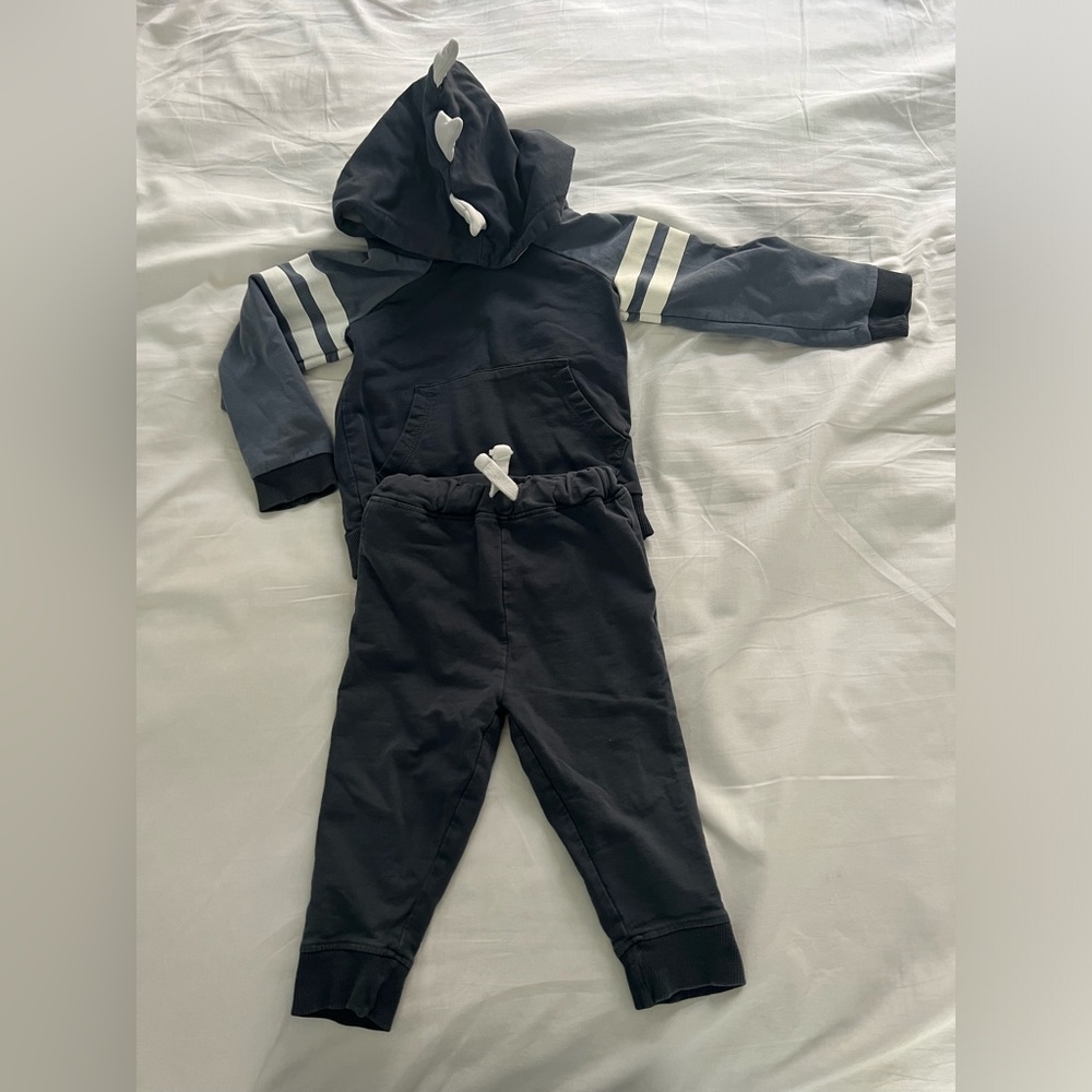 Tommy Babama Dino Hoodie and Jogger Set